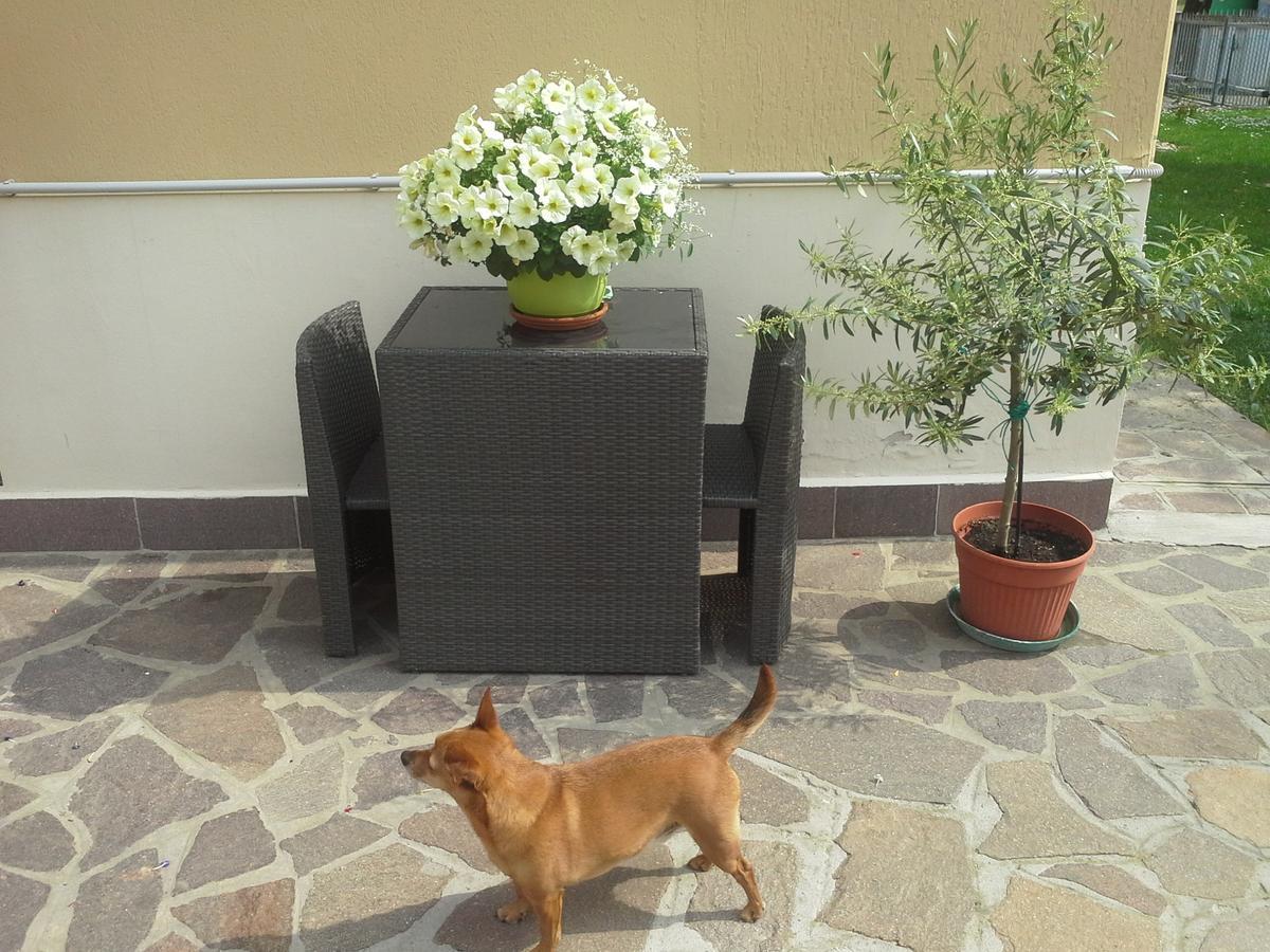 B&B Ciccilia Bentivoglio Kültér fotó